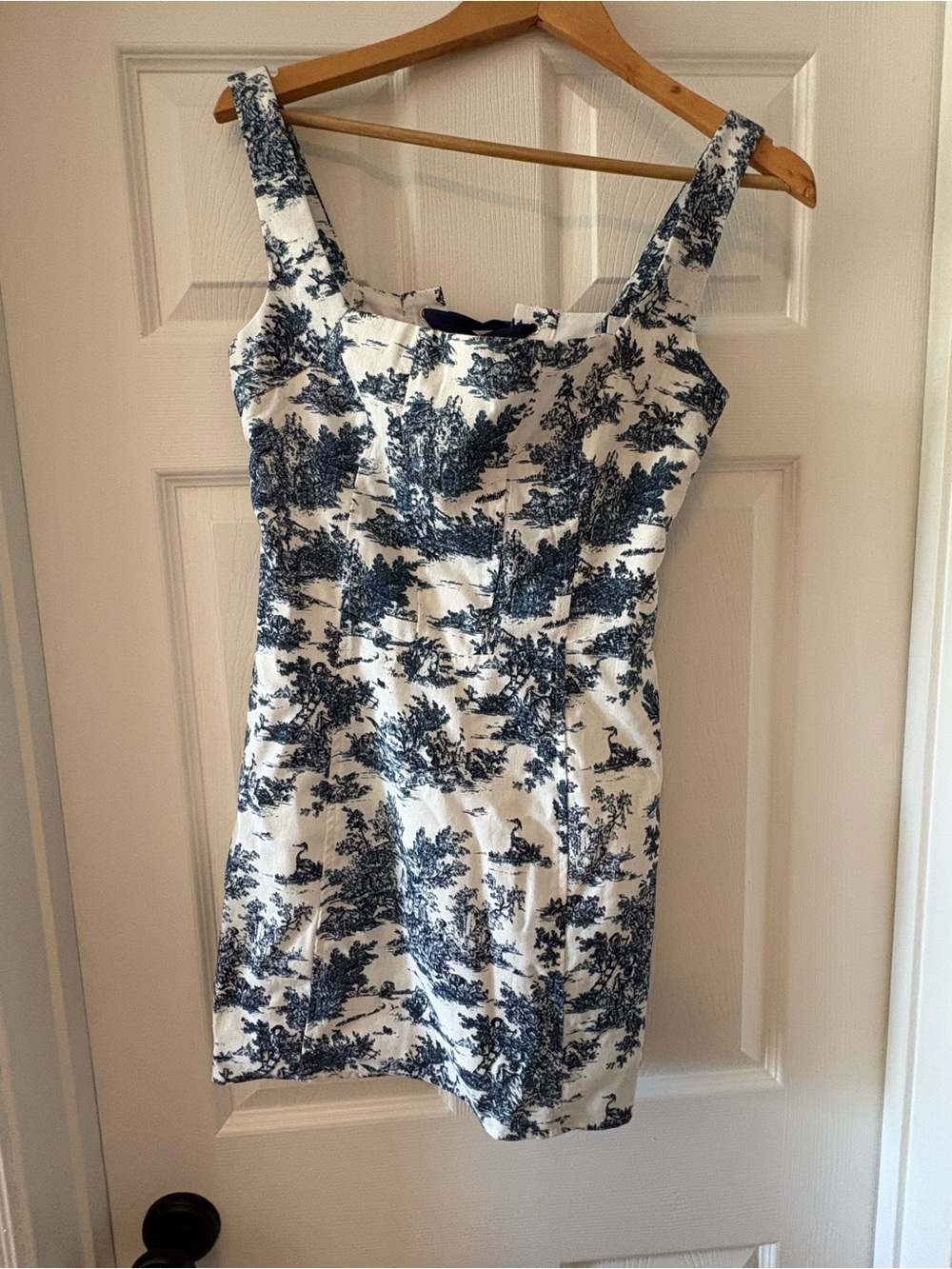 Blue Toile Print Mini Dress